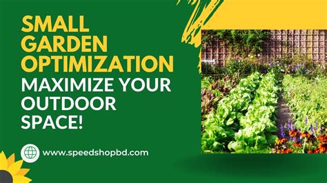 Space Optimization: Strategies for Compact Garden Areas