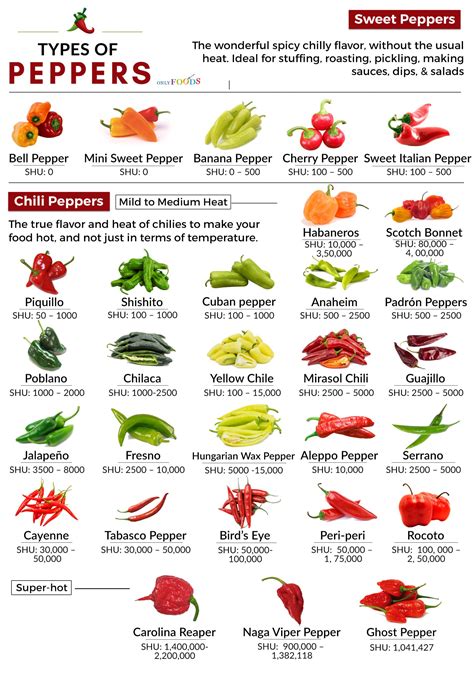 Spicy and Sweet: Exploring the Different Types of Capsicum