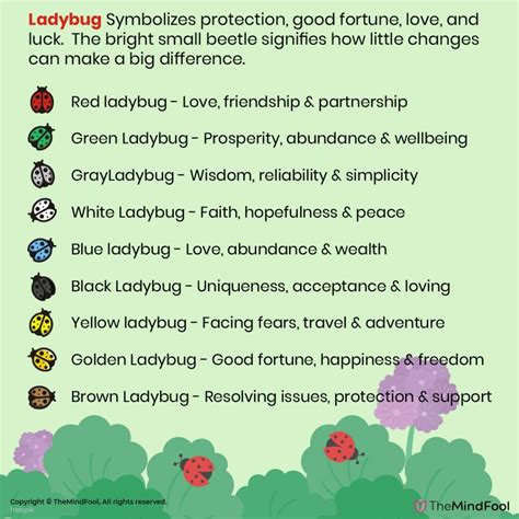 Spiritual Significance and Symbolic Meaning of Ladybugs