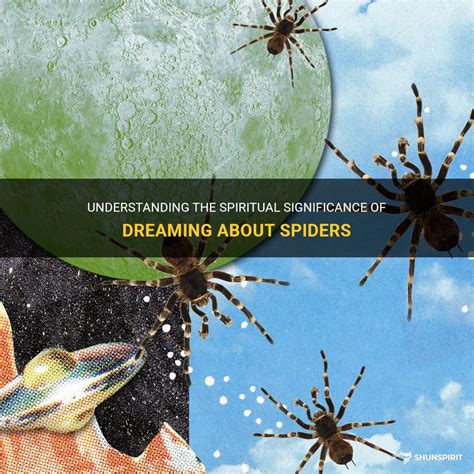 Spiritual Significance of Dreaming about Spiders