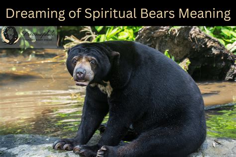 Spiritual Significance of a Small Bear Offspring in Dreamland