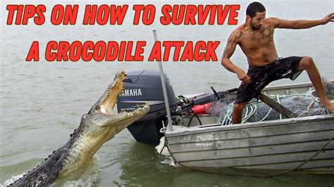 Standing Tall: Tips on Surviving a Crocodile Attack