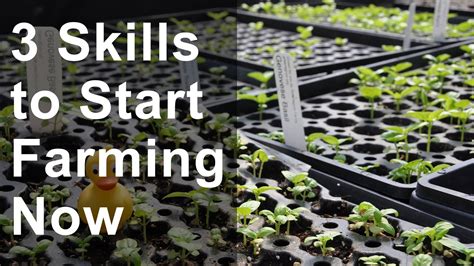 Start Your Farming Journey: Essential Skills for Beginner Farmers