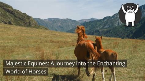 Step into the Enchanting Realm of Majestic Equines