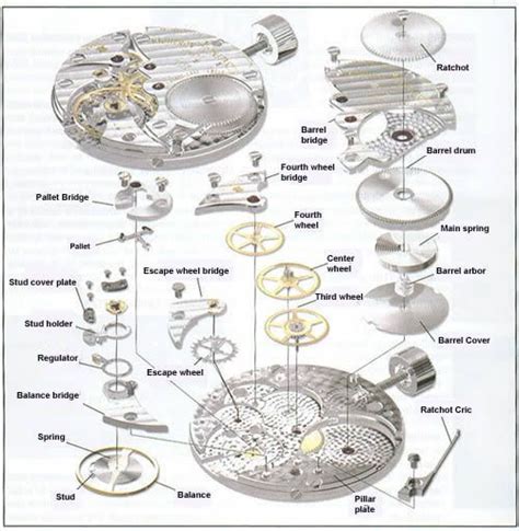 Step-by-Step Guide to Disassembling a Wristwatch