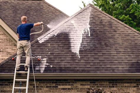 Step-by-Step Guide to Safely Cleaning your Roof