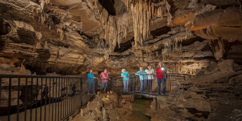 Subterranean adventures: exploring underground tunnels and caves