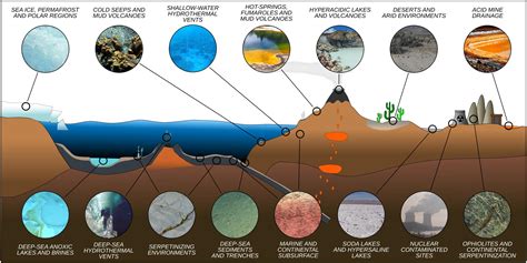 Surviving Extreme Conditions: How Deep-Sea Organisms Adapt to the Harsh Environment