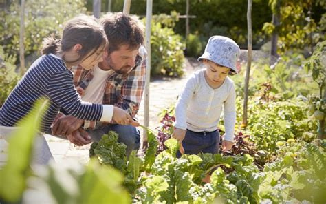 Sustainable Gardening: Eco-Friendly Practices for a Lush Outdoor Oasis