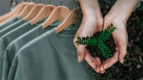 Sustainable and Ethical: The Rise of Eco-Friendly Sweater Options