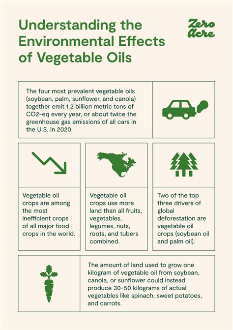 Sustainable and Ethical Choices: Navigating the World of Eco-Friendly Cooking Oils