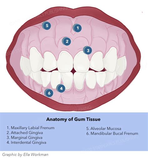 Symbolic Meanings of Ailments in the Gum and Mouth Area
