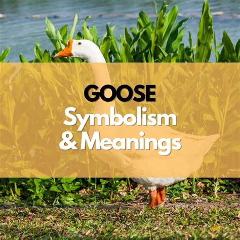 Symbolic Representation of Geese in Mythology and Folklore