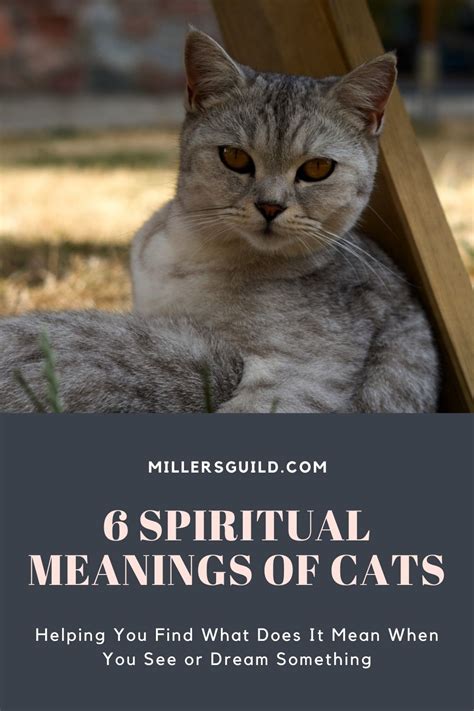 Symbolism and Meanings of Cat Encounters in Dreams