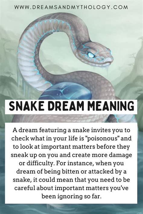 Symbolism of Dogs and Snakes in Dreams