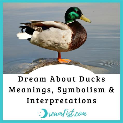 Symbolism of Ducks in Dreams