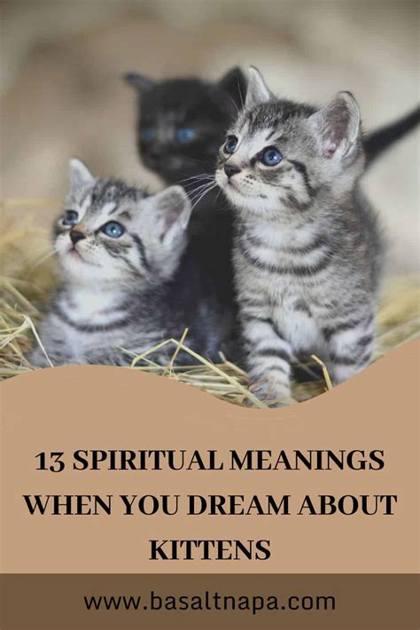 Symbolism of Kittens in Dream Interpretation