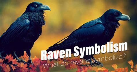 Symbolism of Raven Tresses: Unveiling the Mysteries