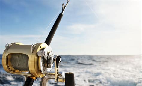 Tactics and Strategies for an Unforgettable Fishing Expedition: Aiming for a Memorable Catch