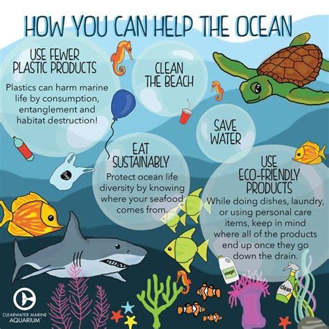 Take Action: Ways to Contribute to the Conservation of Unspoiled Aquatic Environments