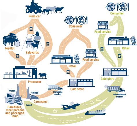 Tapping into Technology: Innovations in the Meat Supply Chain