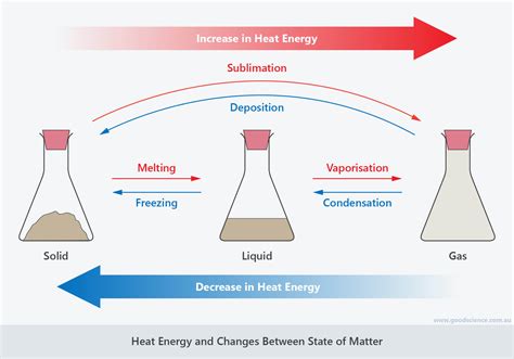 Temperature Matters: Selecting the Optimal Water