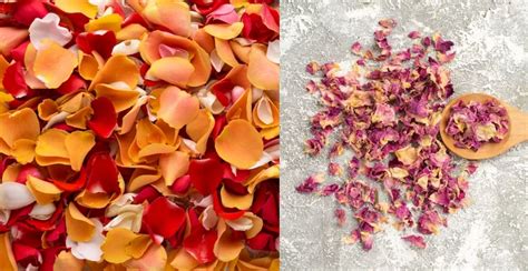 The Advantages of Dried Rose Petals in Skincare