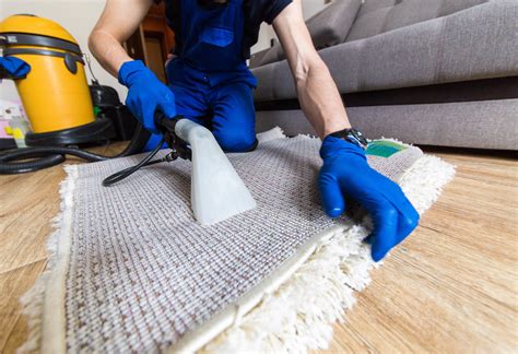 The Advantages of Professional Carpet Cleaning Services