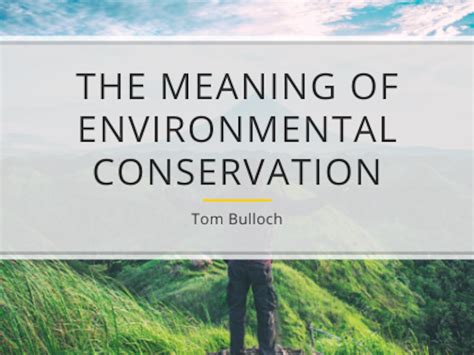 The Alligator's Connection to Nature: Environmental Meaning and Conservation Significance