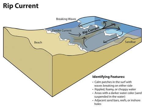 The Allure of Riptides: What Draws People to these Powerful Ocean Currents?