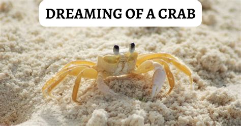 The Alluring Symbolism of Dreaming About Crabs: What Does It Signify?