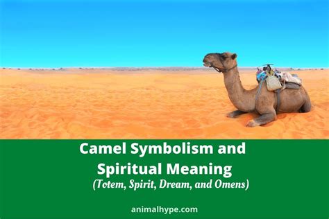 The Ancient Origins of Camel Symbolism