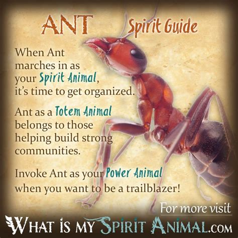 The Ant as a Symbol: Exploring its Cultural Significance