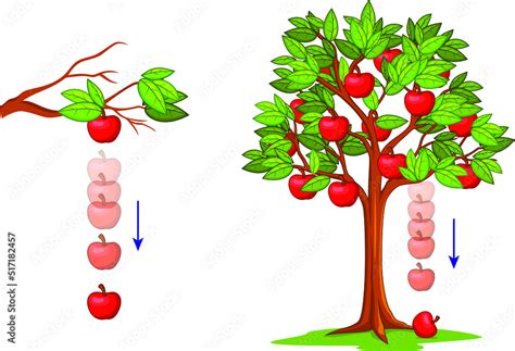 The Apple Falling: A Symbol of Change and Transition