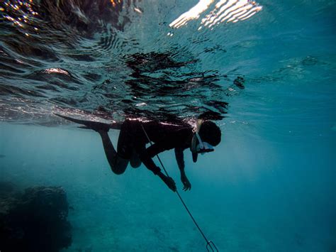 The Art and Science of Breath-hold Diving: Immersing in Freediving Techniques