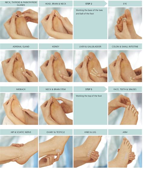 The Art of Foot Massage: Understanding the Basics