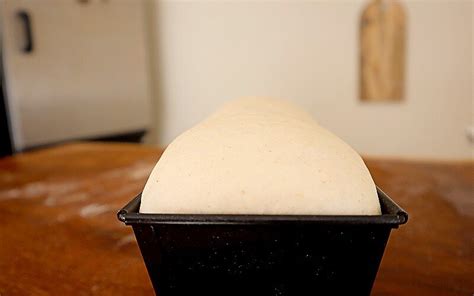 The Art of Proofing: Achieving the Perfect Dough Rise