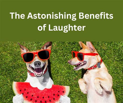 The Astonishing Advantages of Canine Laughter: Enhancing the Connection Between Humans and Dogs