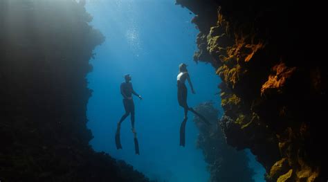 The Astonishment and Fascination of Diving with a Majestic Titan