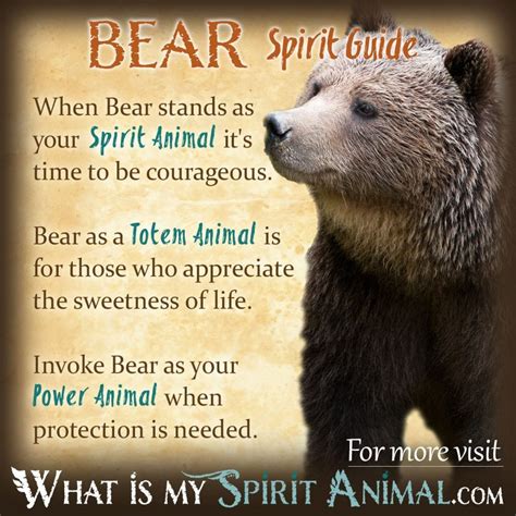 The Bear: A Symbol of Strength and Anxieties