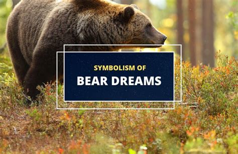 The Bear as a Formidable and Enigmatic Symbol in Dreams