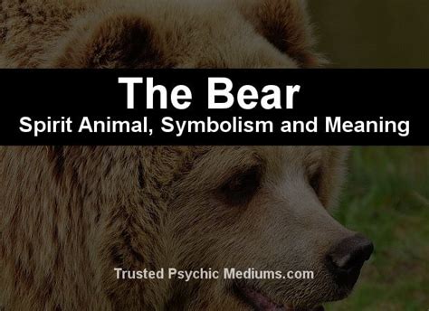 The Bear as a Spiritual Guide: Decoding the Significance in Dream Encounters