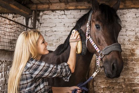 The Beauty of Grooming Horses: A Deep Dive into Equine Bonding