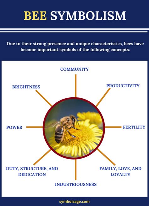 The Bee as a Symbol of Metamorphosis