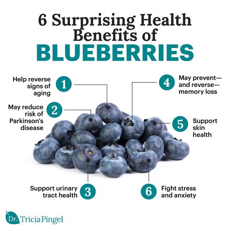 The Benefits of Antioxidants: Exploring the Nutritional Advantages of Plump, Delectable Blueberries