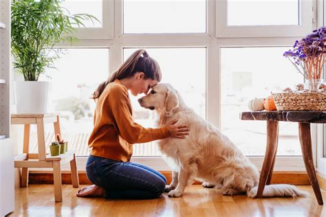 The Benefits of Being a Caring and Attentive Pet Owner: A joyful and thriving companion