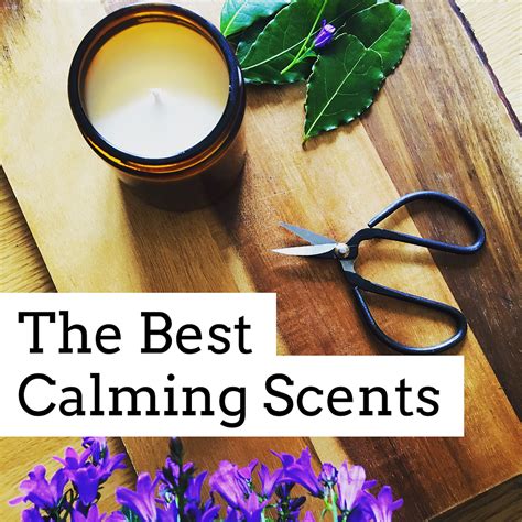 The Benefits of Incorporating Calming Scents and Sounds