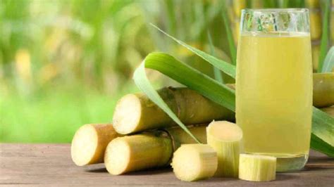 The Blissful Realm of Sugarcane Elixir