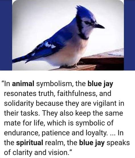 The Blue Jay as a Symbol of Communication and Expression