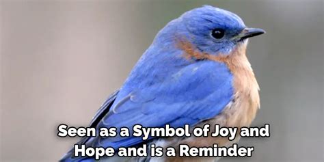 The Bluebird as a Symbol of Hope and Transformation